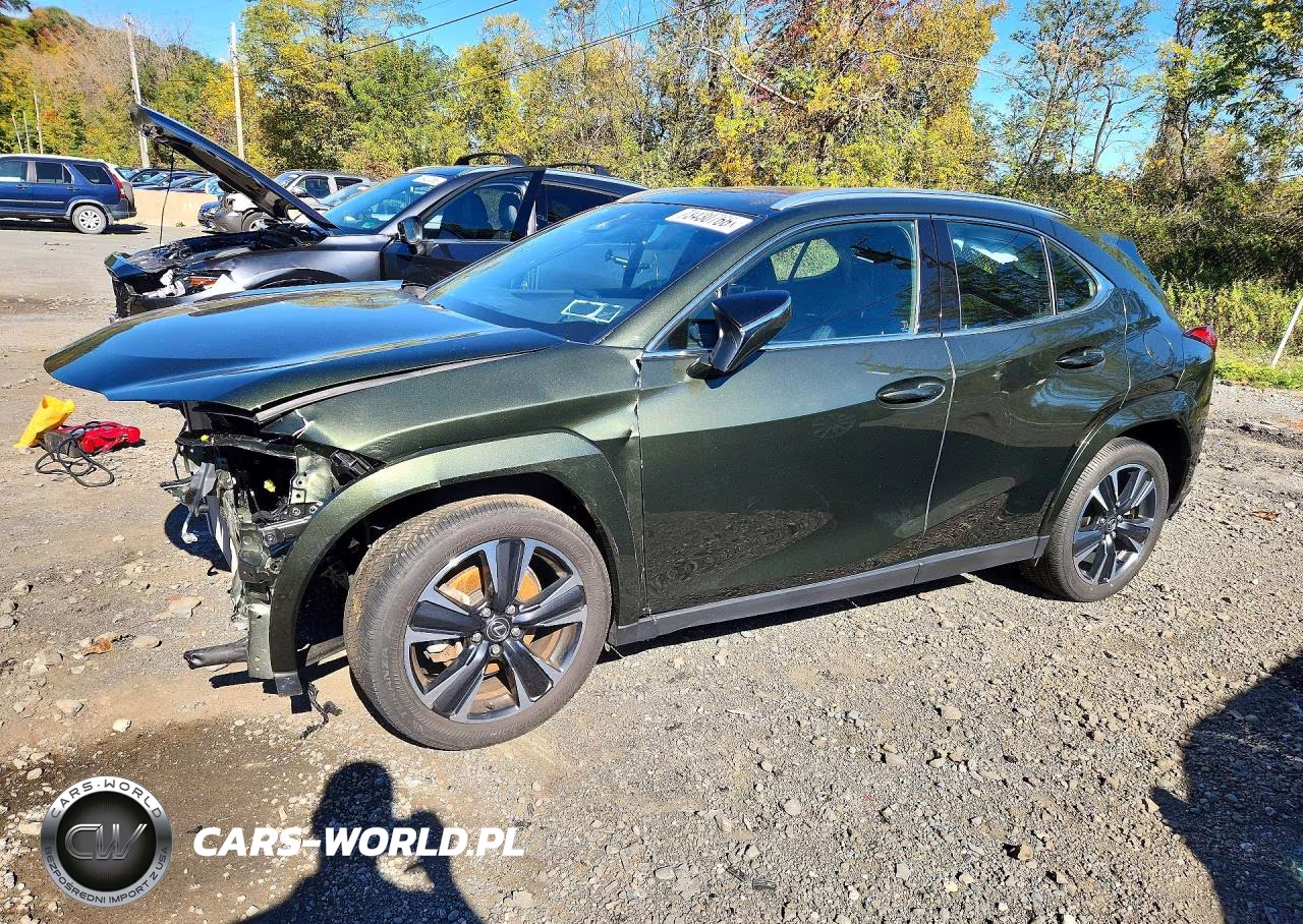 2025 Lexus Ux 300H Premium