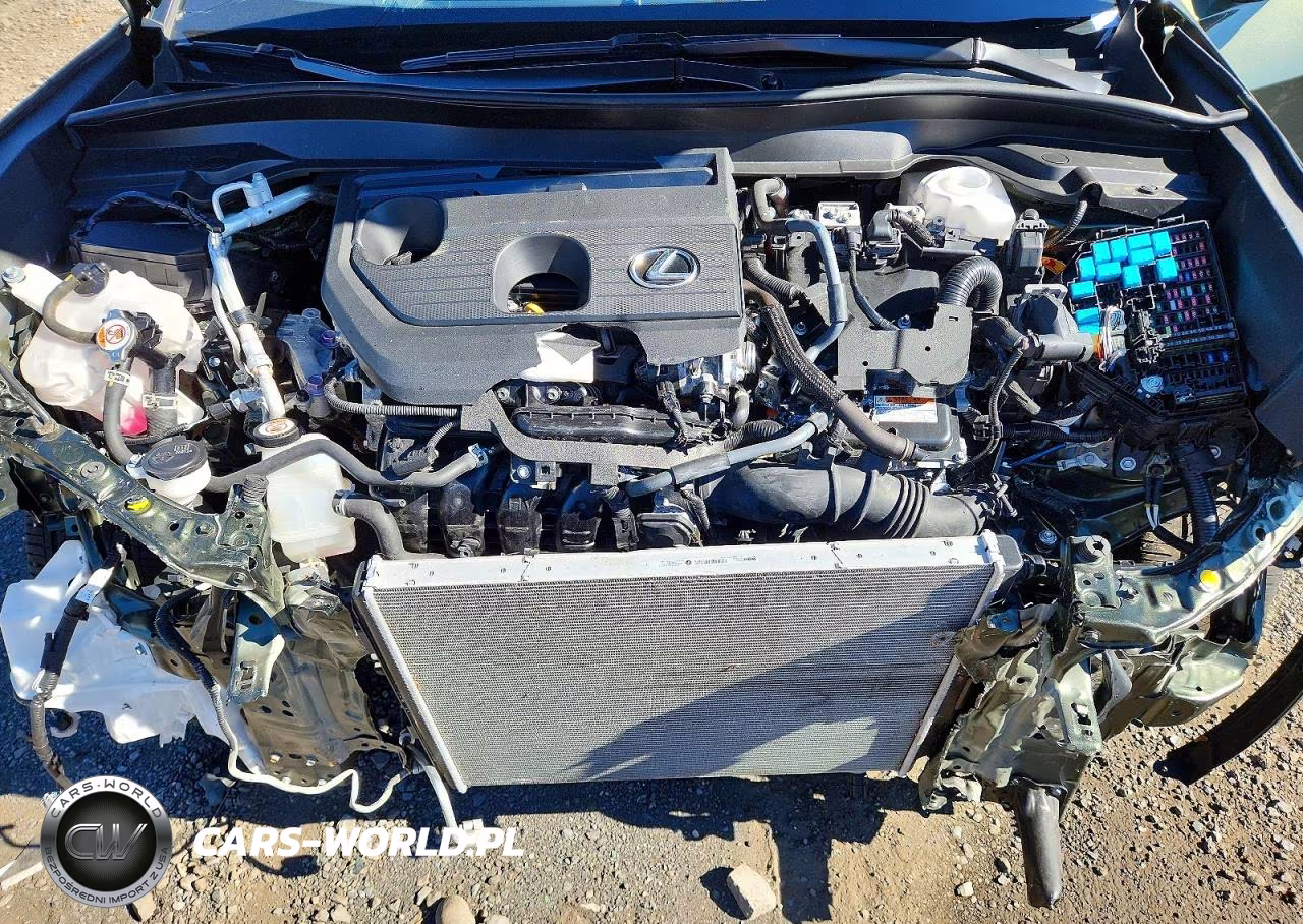 2025 Lexus Ux 300H Premium VIN:JTHUCJDH3S2010879 - 12