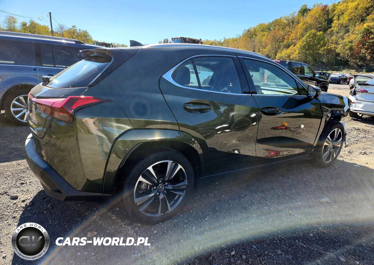 2025 Lexus Ux 300H Premium VIN:JTHUCJDH3S2010879 - 3