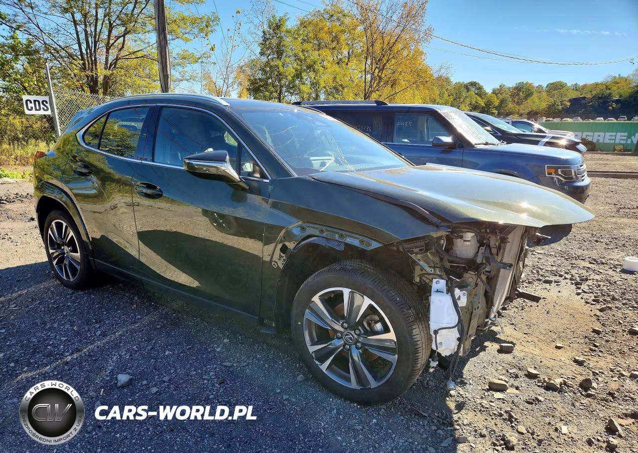 2025 Lexus Ux 300H Premium VIN:JTHUCJDH3S2010879 - 4