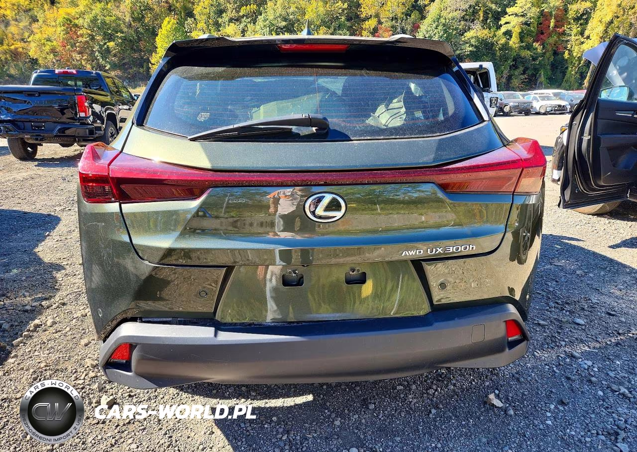 2025 Lexus Ux 300H Premium VIN:JTHUCJDH3S2010879 - 6