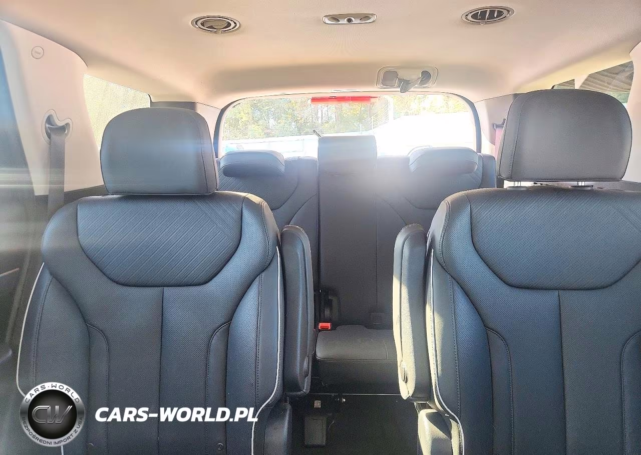 2023 Hyundai Palisade Sel VIN:KM8R2DGEXPU616152 - 10