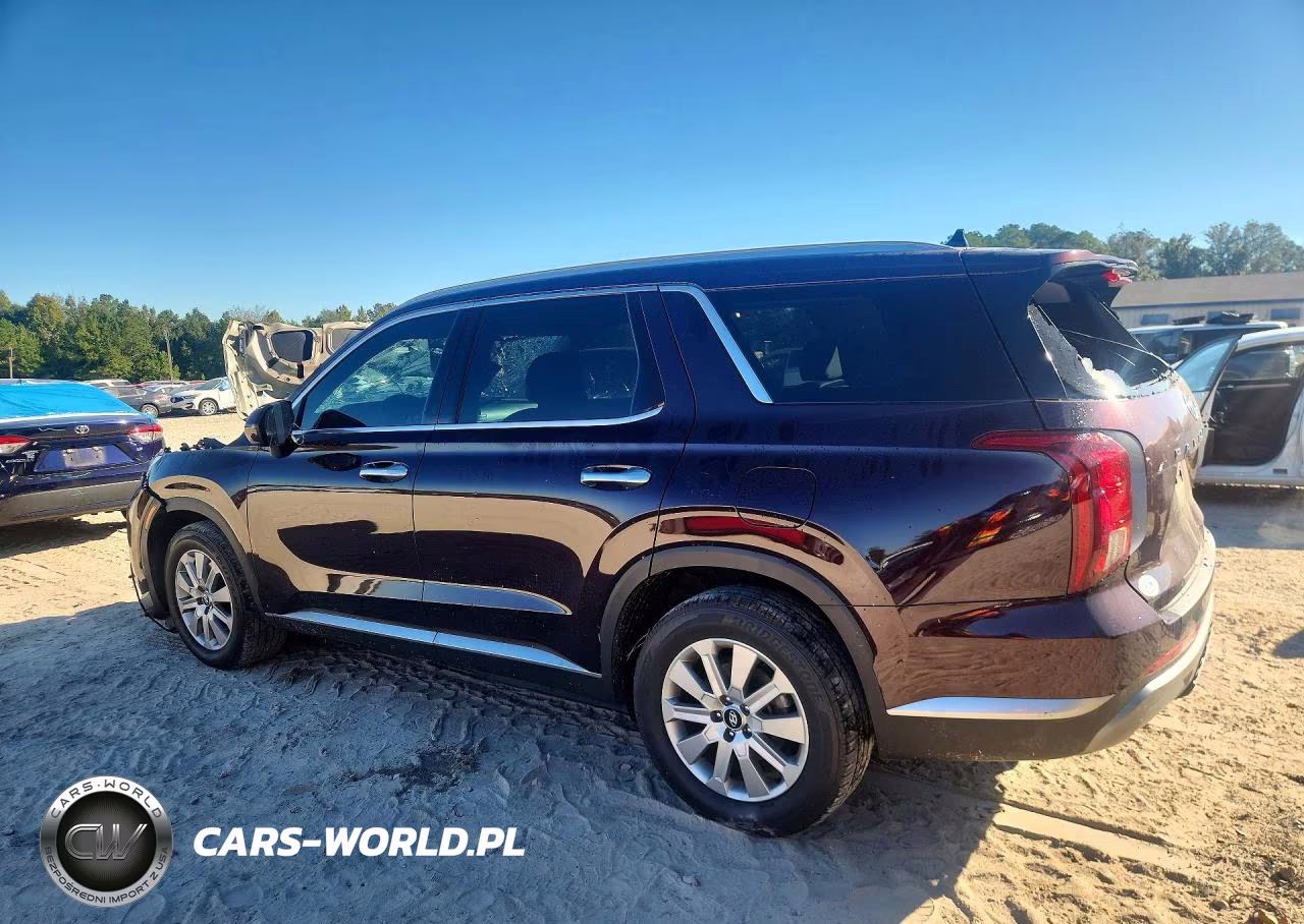 2023 Hyundai Palisade Sel VIN:KM8R2DGEXPU616152 - 2
