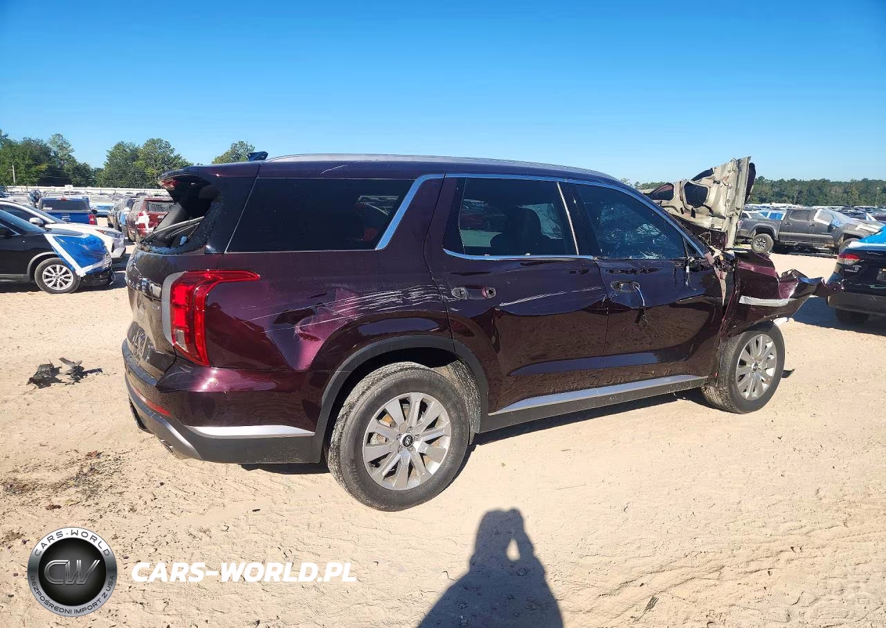 2023 Hyundai Palisade Sel VIN:KM8R2DGEXPU616152 - 3