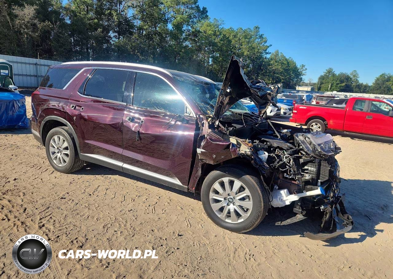 2023 Hyundai Palisade Sel VIN:KM8R2DGEXPU616152 - 4