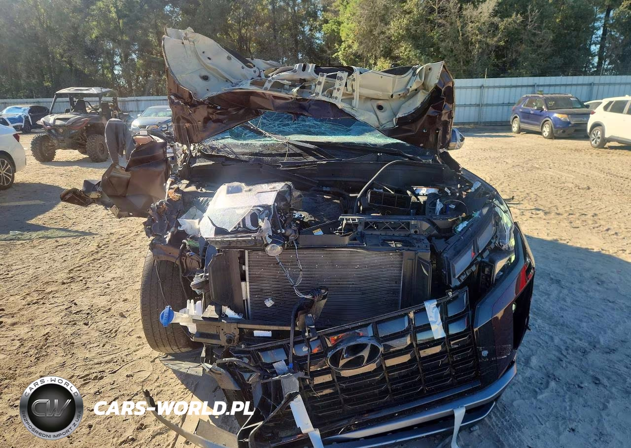 2023 Hyundai Palisade Sel VIN:KM8R2DGEXPU616152 - 5