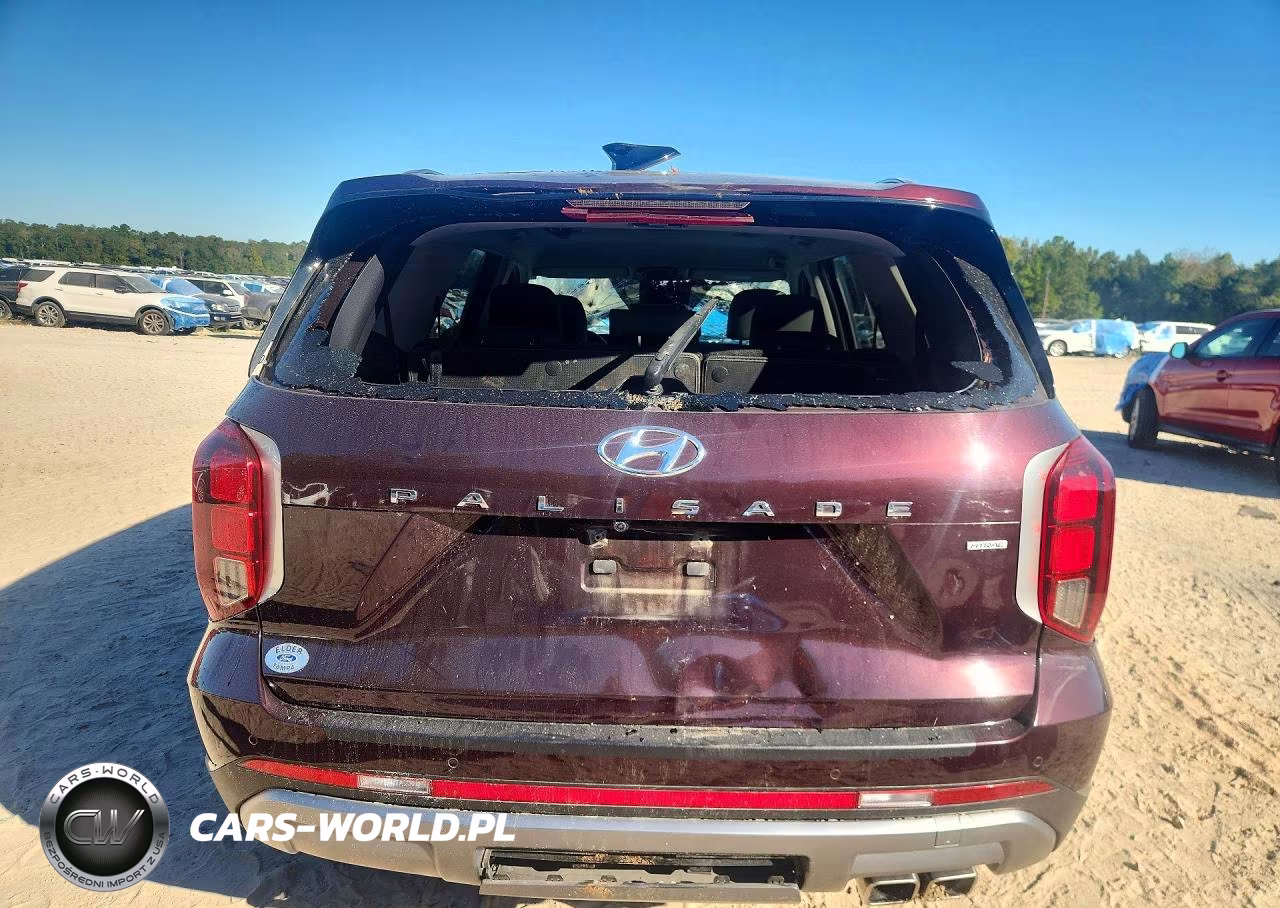 2023 Hyundai Palisade Sel VIN:KM8R2DGEXPU616152 - 6
