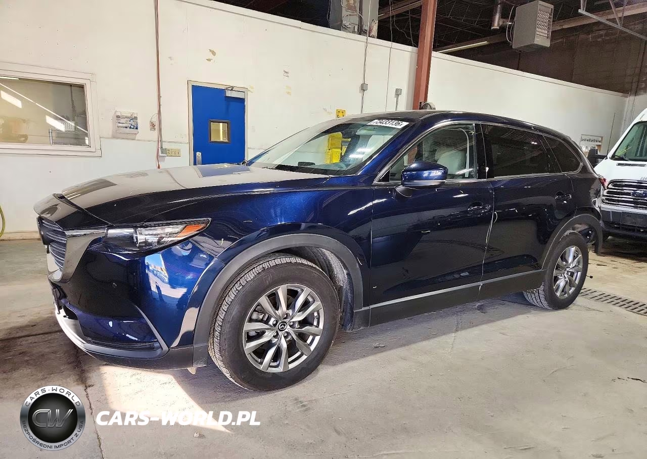 2019 Mazda Cx-9 Touring VIN:JM3TCBCY3K0327780 - 1