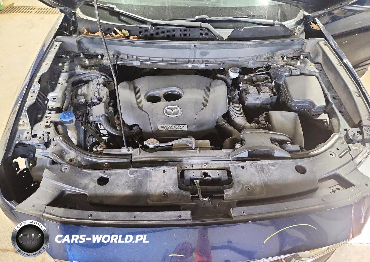 2019 Mazda Cx-9 Touring VIN:JM3TCBCY3K0327780 - 12