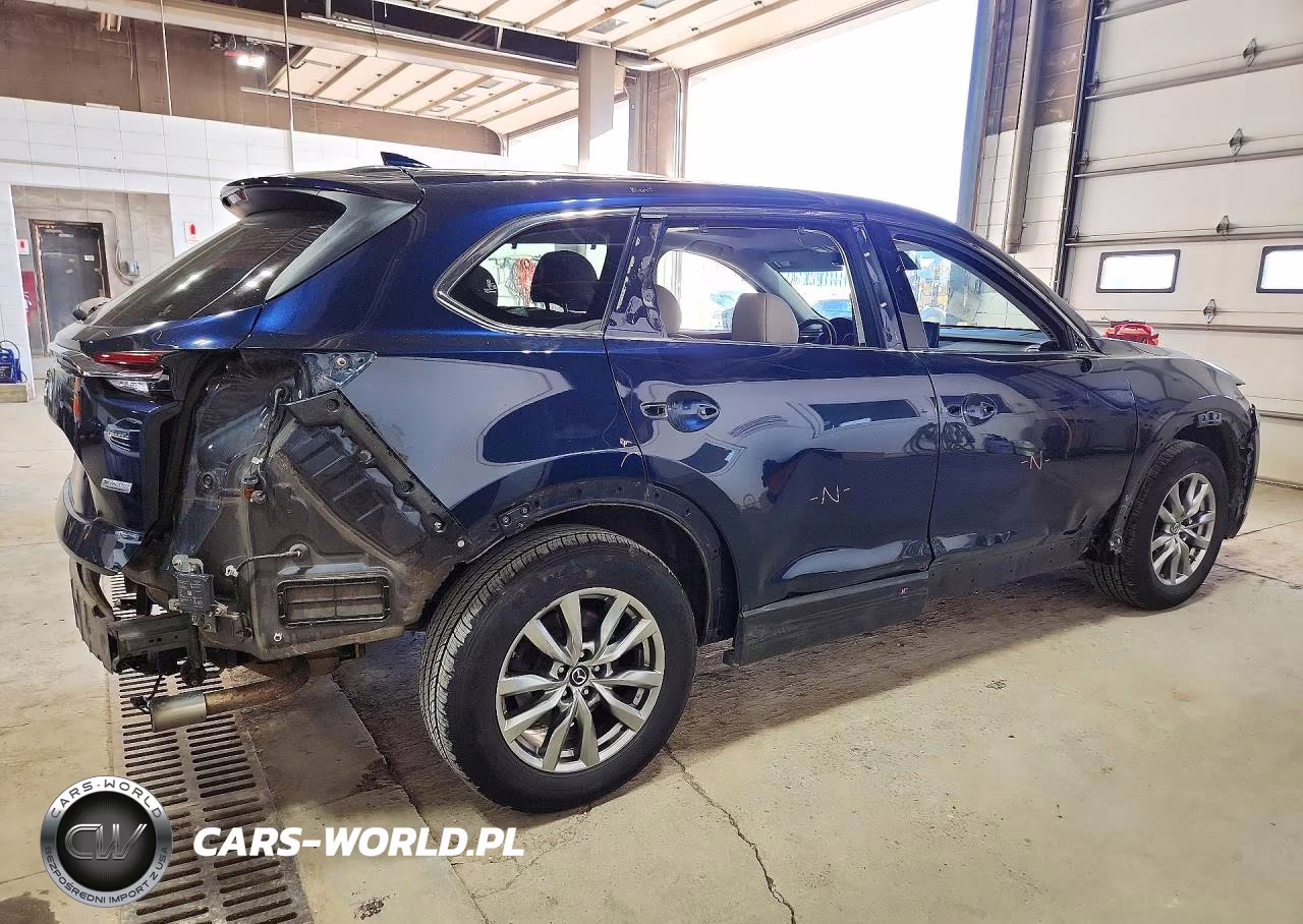 2019 Mazda Cx-9 Touring VIN:JM3TCBCY3K0327780 - 3