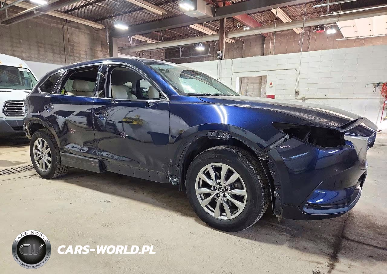 2019 Mazda Cx-9 Touring VIN:JM3TCBCY3K0327780 - 4