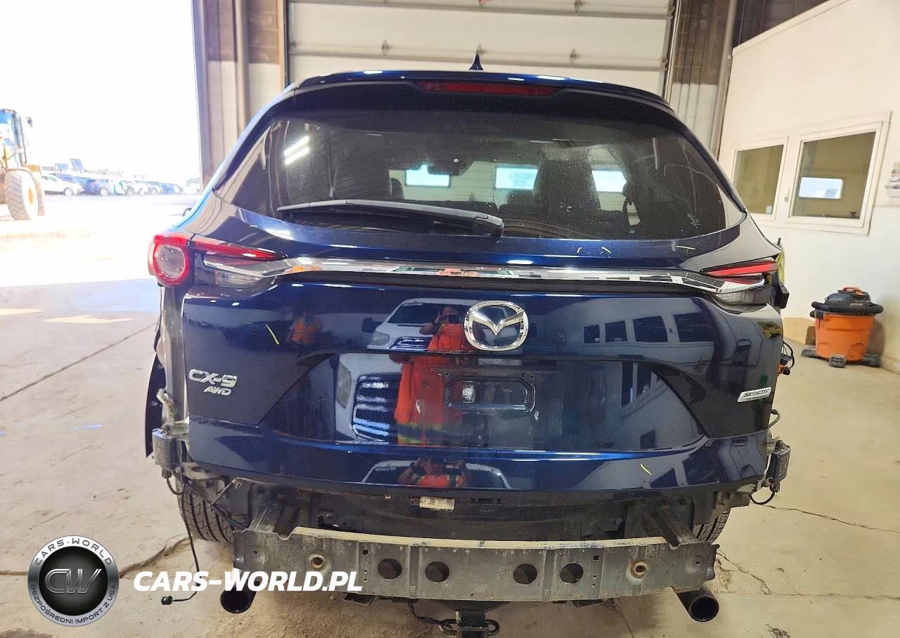 2019 Mazda Cx-9 Touring VIN:JM3TCBCY3K0327780 - 6