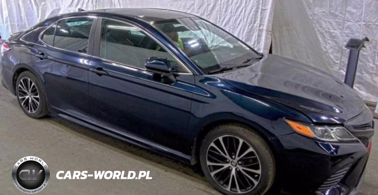 2019 Toyota Camry Se VIN:4T1B11HK0KU697579 - 1