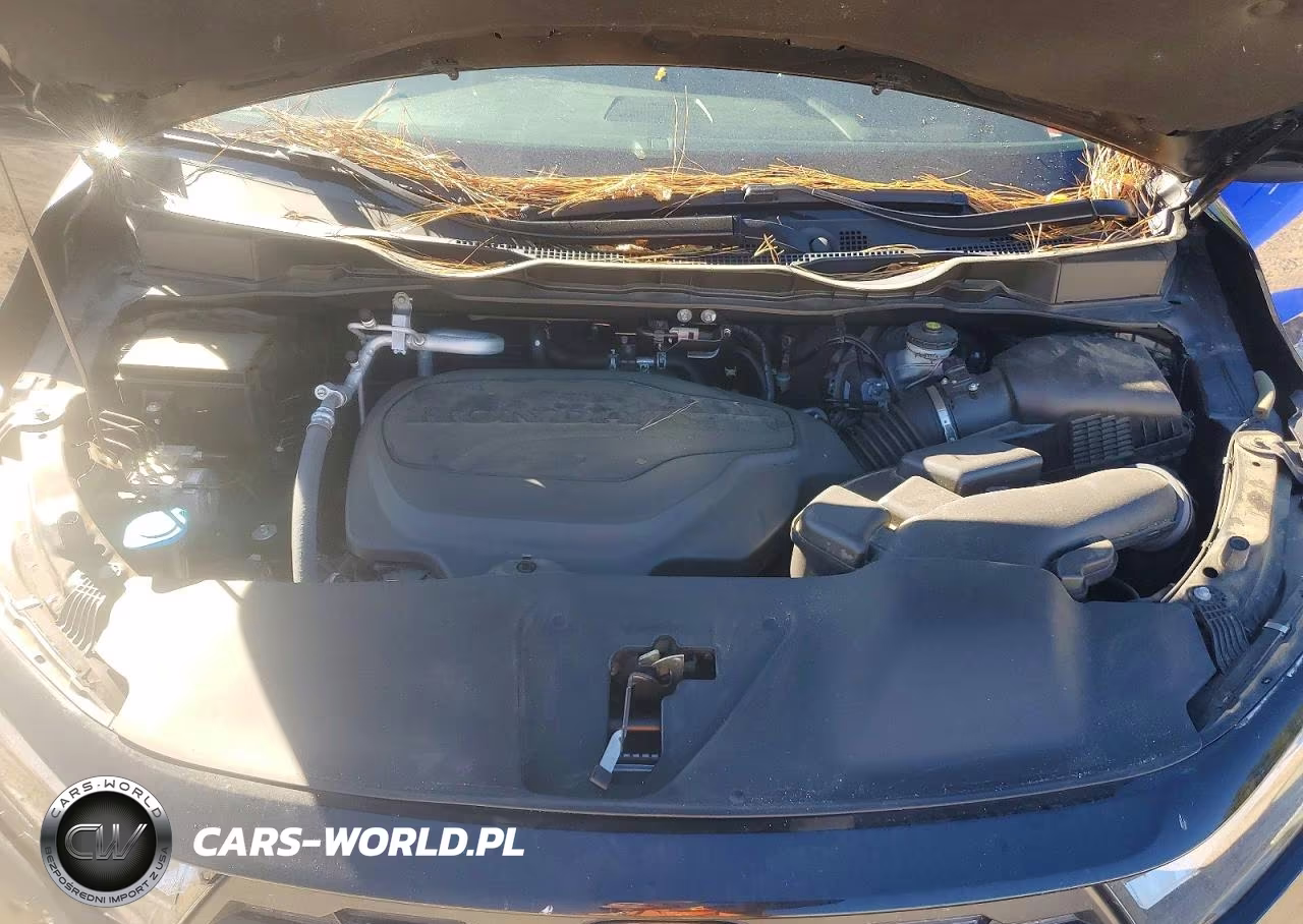 2025 Honda Odyssey Exl VIN:5FNRL6H64SB001909 - 12