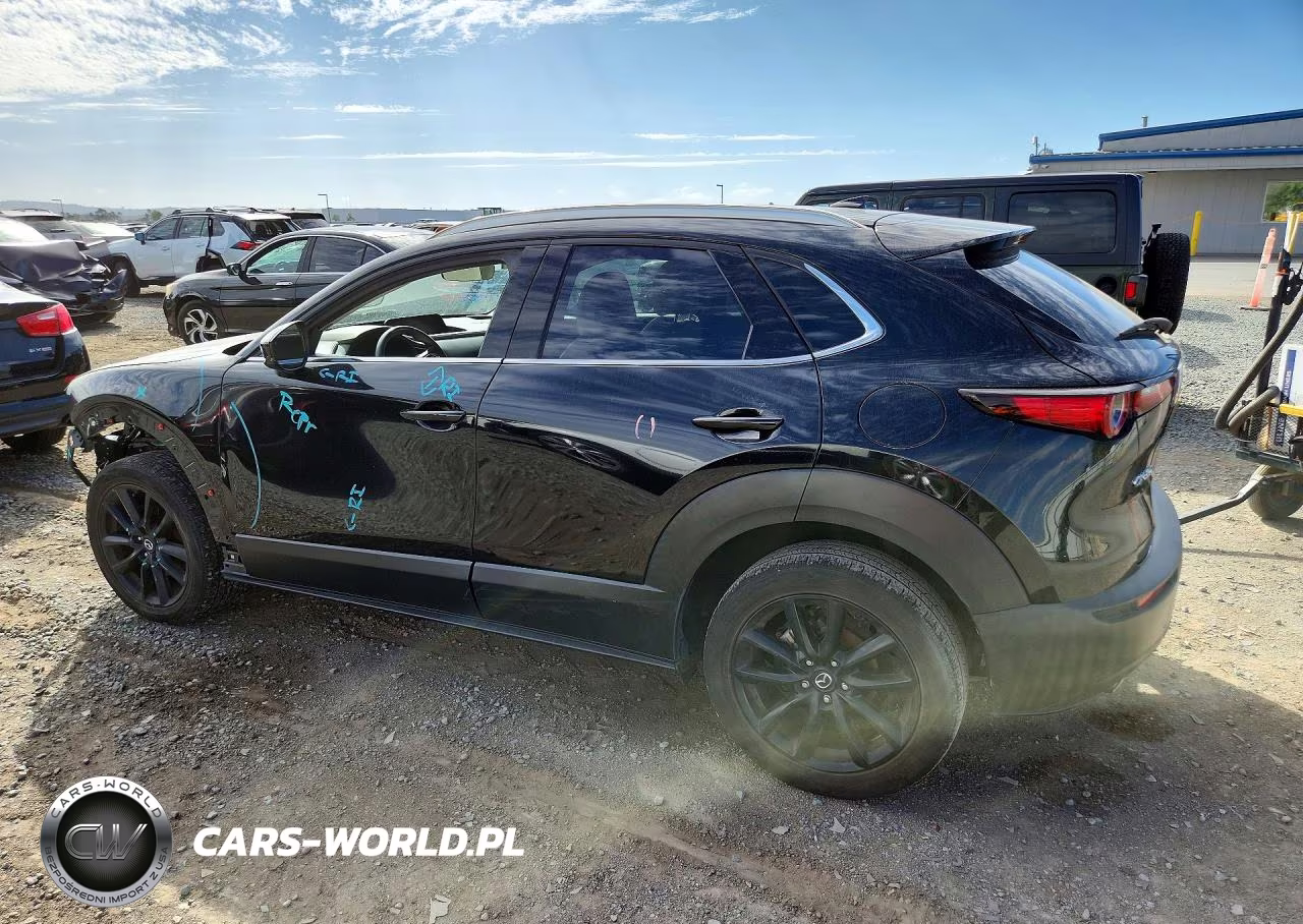 2021 Mazda Cx-30 Premium VIN:3MVDMADL1MM209765 - 2
