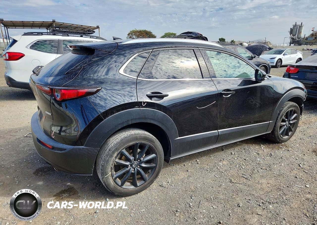 2021 Mazda Cx-30 Premium VIN:3MVDMADL1MM209765 - 3