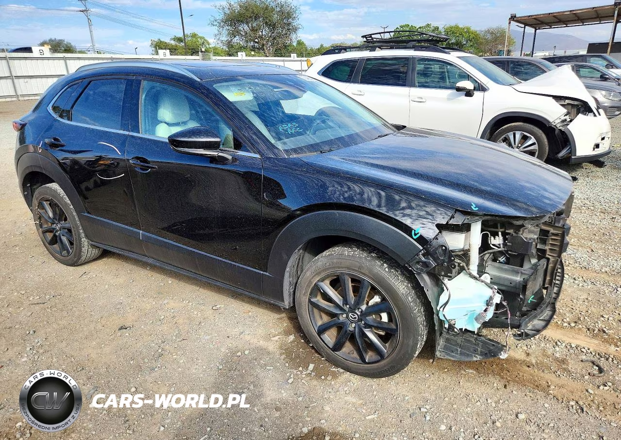 2021 Mazda Cx-30 Premium VIN:3MVDMADL1MM209765 - 4
