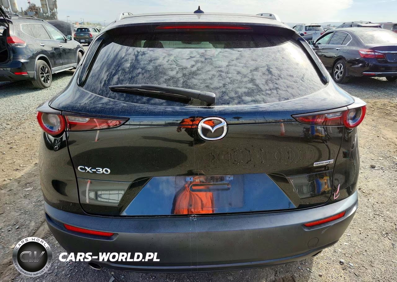 2021 Mazda Cx-30 Premium VIN:3MVDMADL1MM209765 - 6