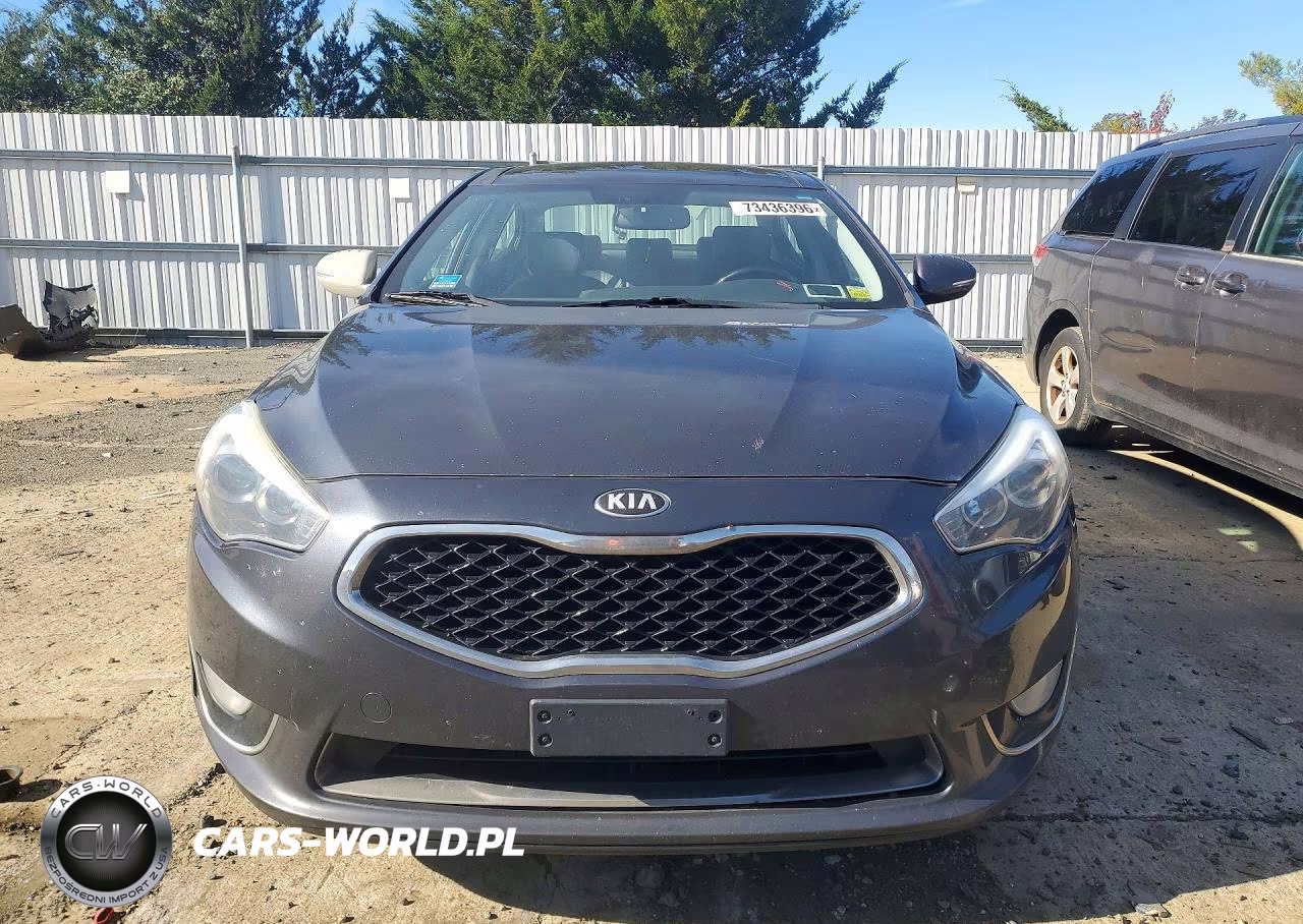 2014 Kia Cadenza Premium VIN:KNALN4D73E5121349 - 5