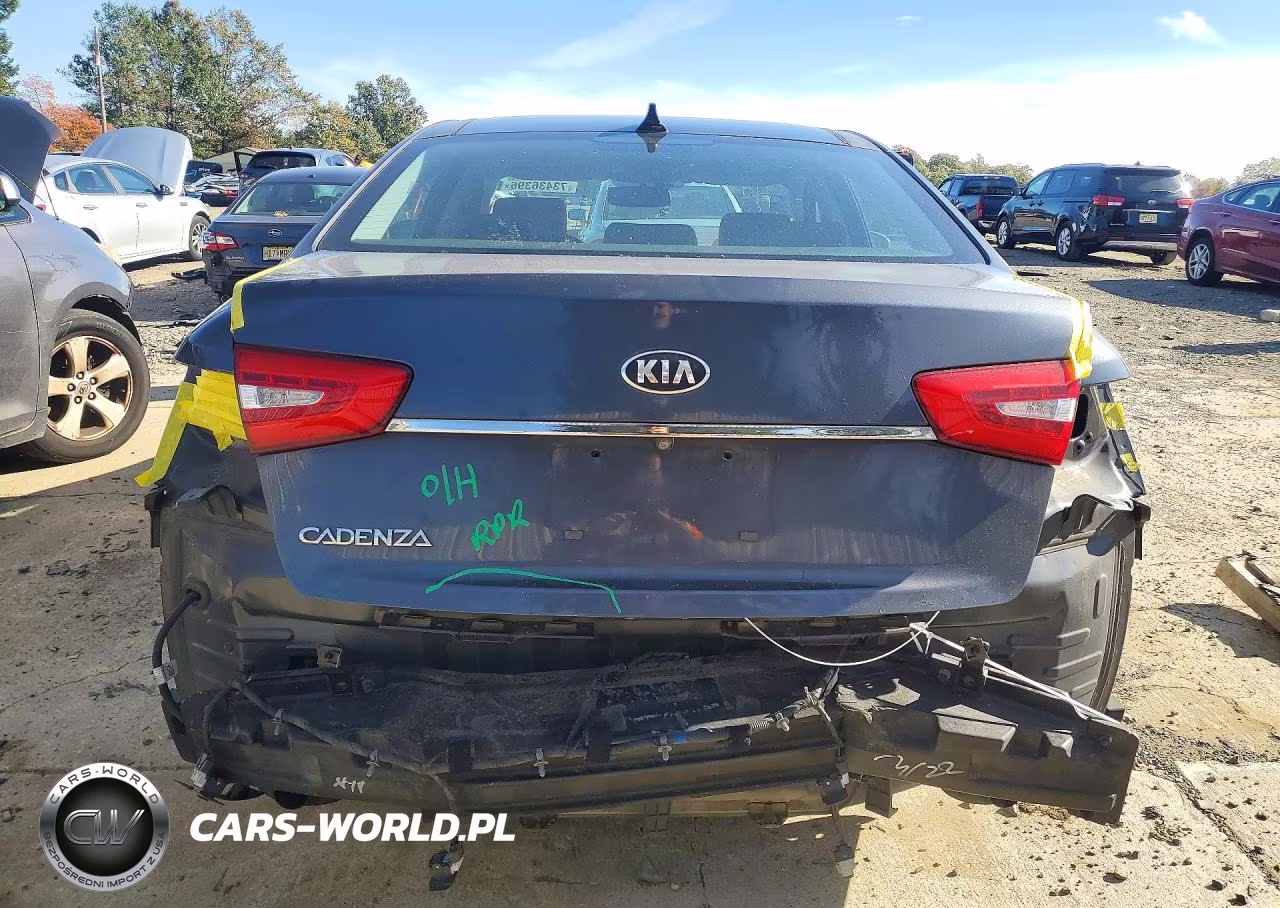 2014 Kia Cadenza Premium VIN:KNALN4D73E5121349 - 6