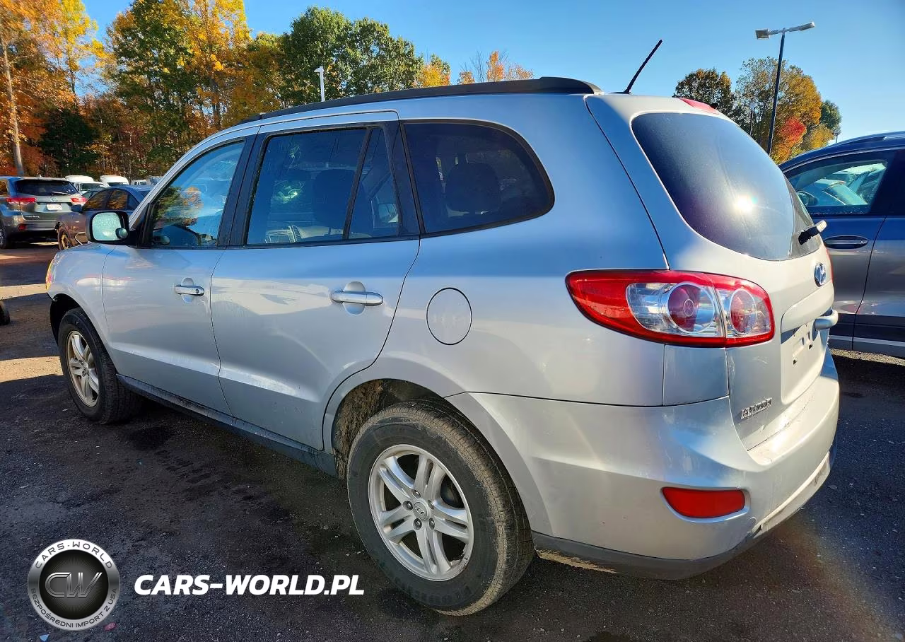 2010 Hyundai Santa Fe Gls VIN:5NMSGDAB1AH390149 - 2