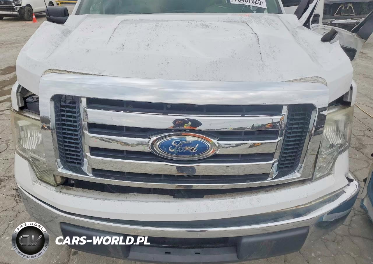 2009 Ford F150 Supercrew VIN:1FTRW12829FB19242 - 11