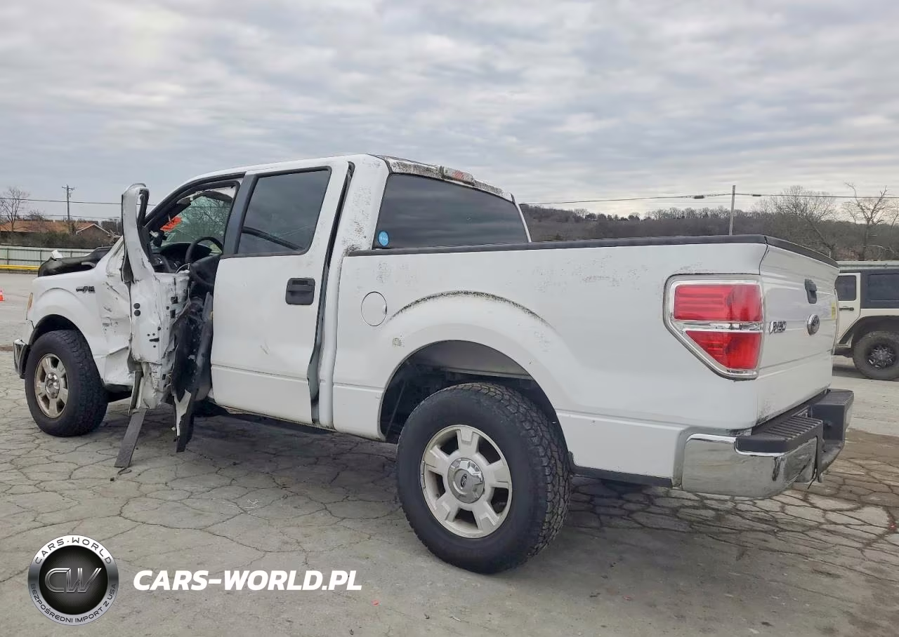 2009 Ford F150 Supercrew VIN:1FTRW12829FB19242 - 2