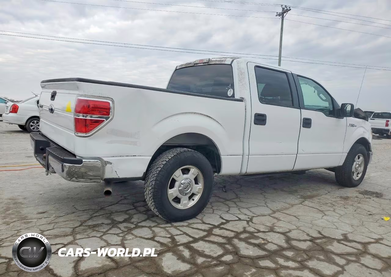 2009 Ford F150 Supercrew VIN:1FTRW12829FB19242 - 3