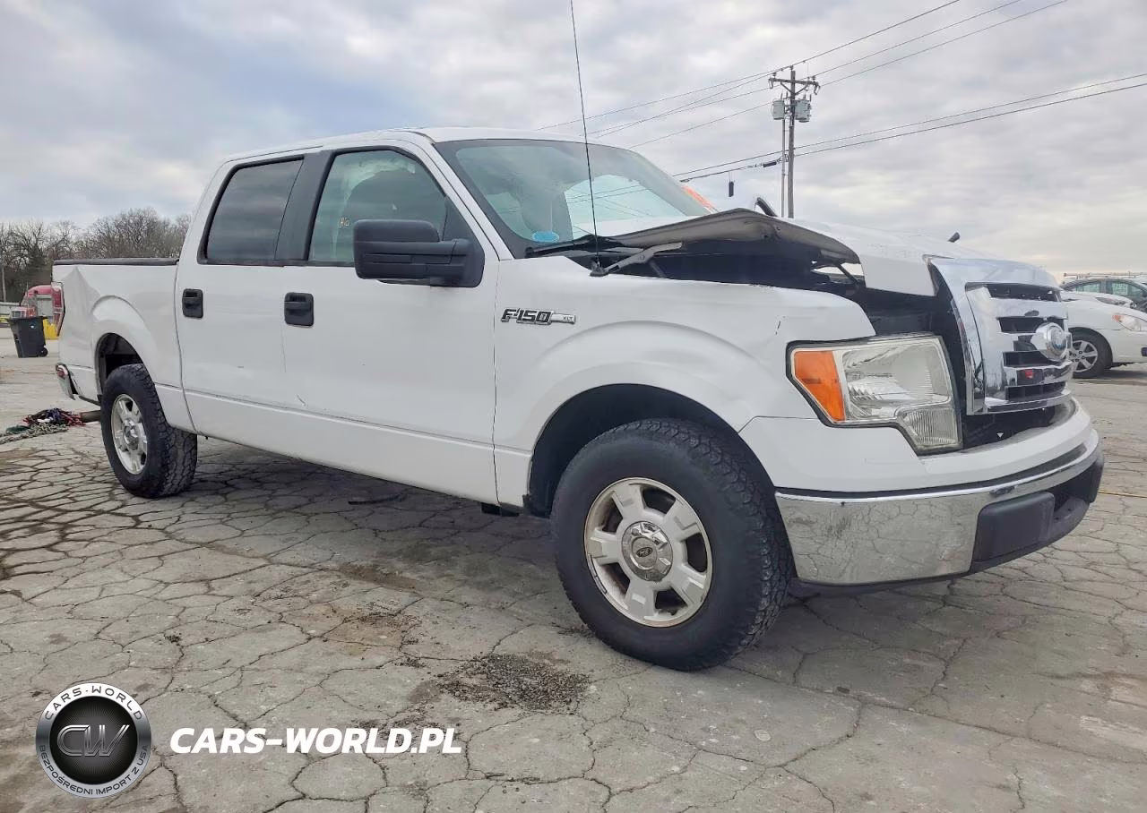 2009 Ford F150 Supercrew VIN:1FTRW12829FB19242 - 4