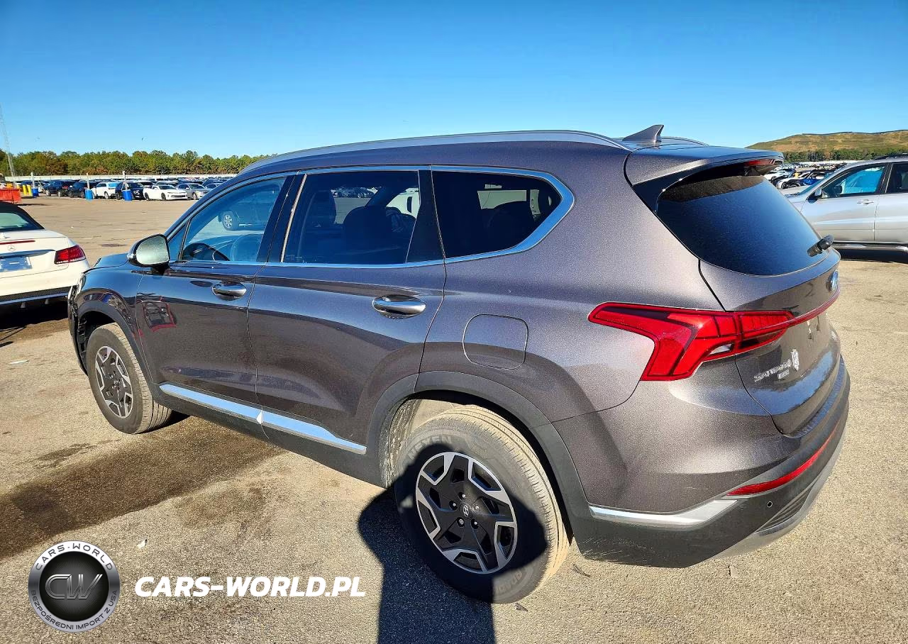 2022 Hyundai Santa Fe Blue VIN:KM8S2DA10NU041273 - 2