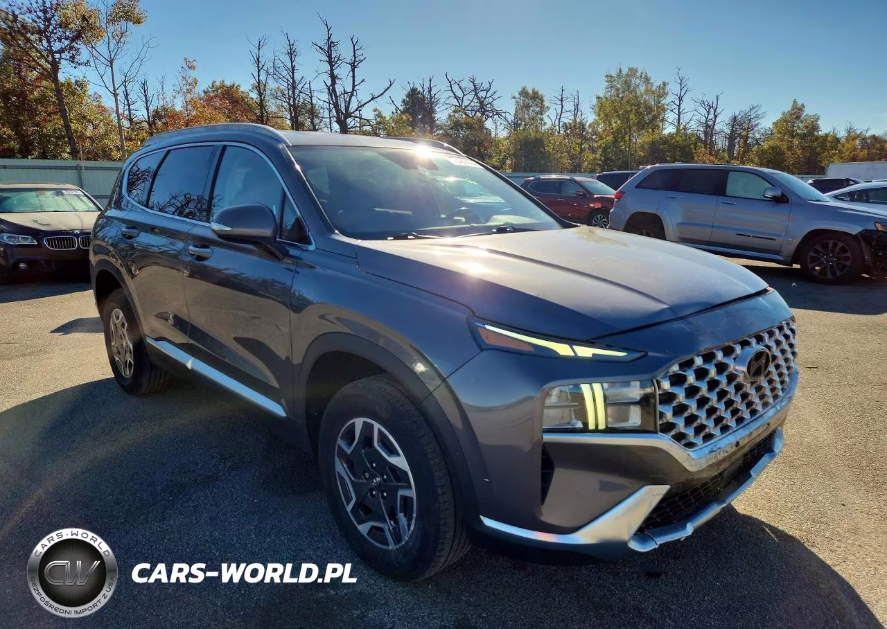 2022 Hyundai Santa Fe Blue VIN:KM8S2DA10NU041273 - 4