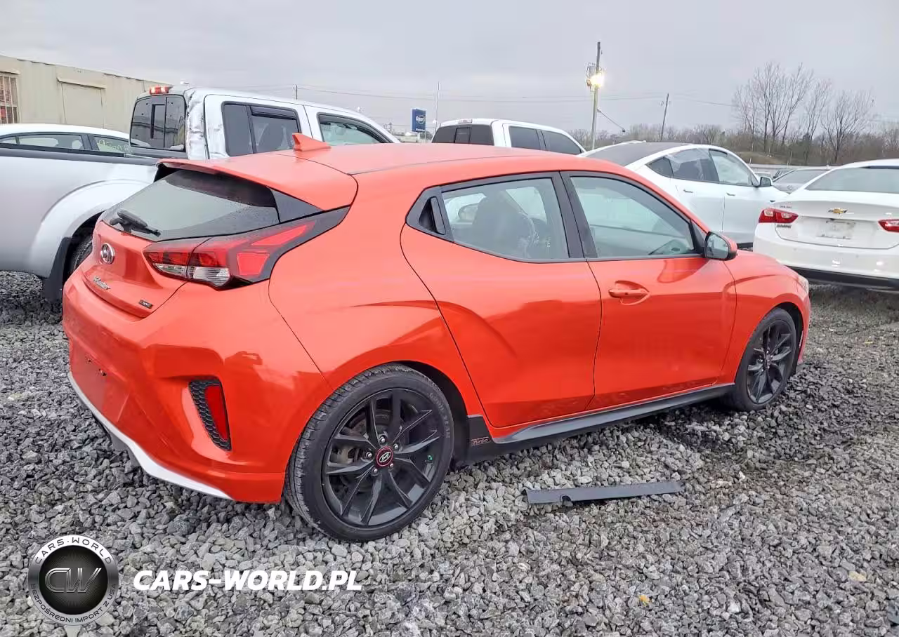 2019 Hyundai Veloster Turbo VIN:KMHTH6AB7KU016308 - 3