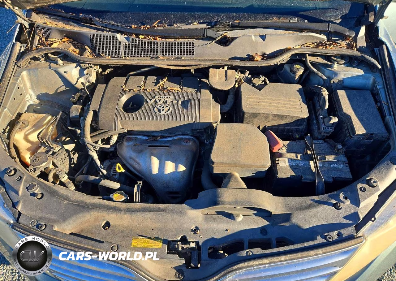 2009 Toyota Venza Fwd 4Cyl VIN:4T3ZE11A39U003053 - 12