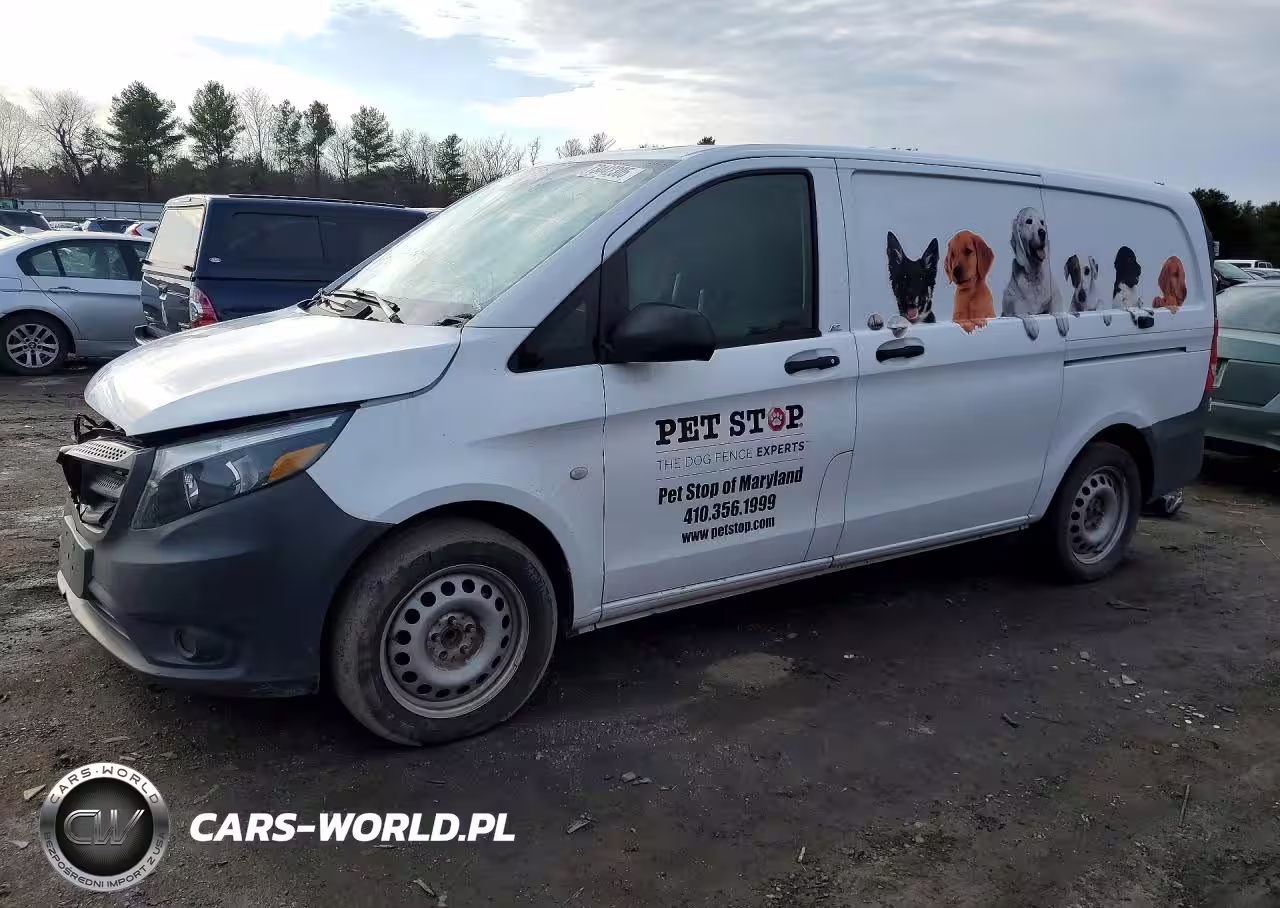2018 Mercedes Benz Metris Delivery Van