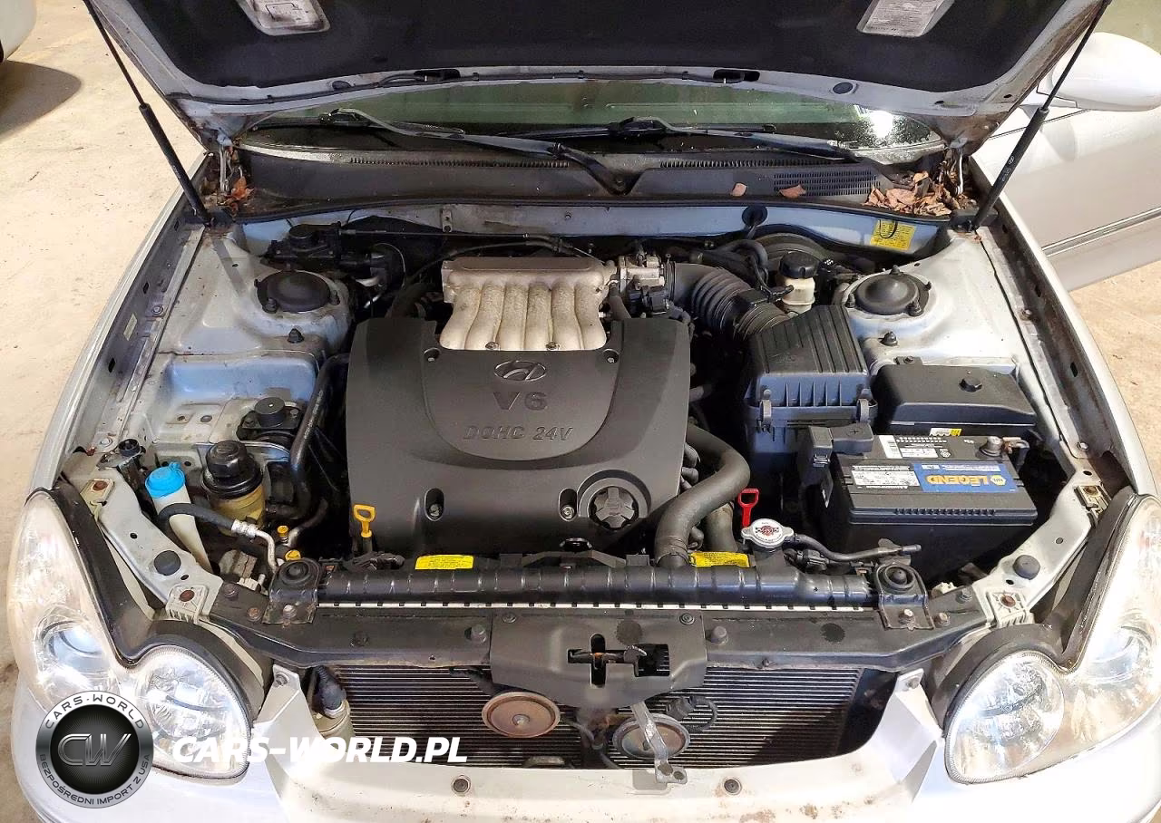 2004 Hyundai Sonata Gls VIN:KMHWF35H84A933374 - 11