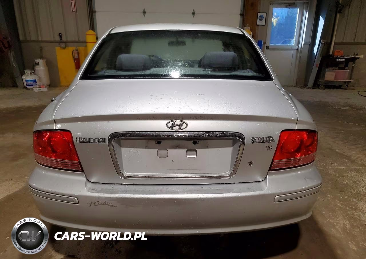 2004 Hyundai Sonata Gls VIN:KMHWF35H84A933374 - 6