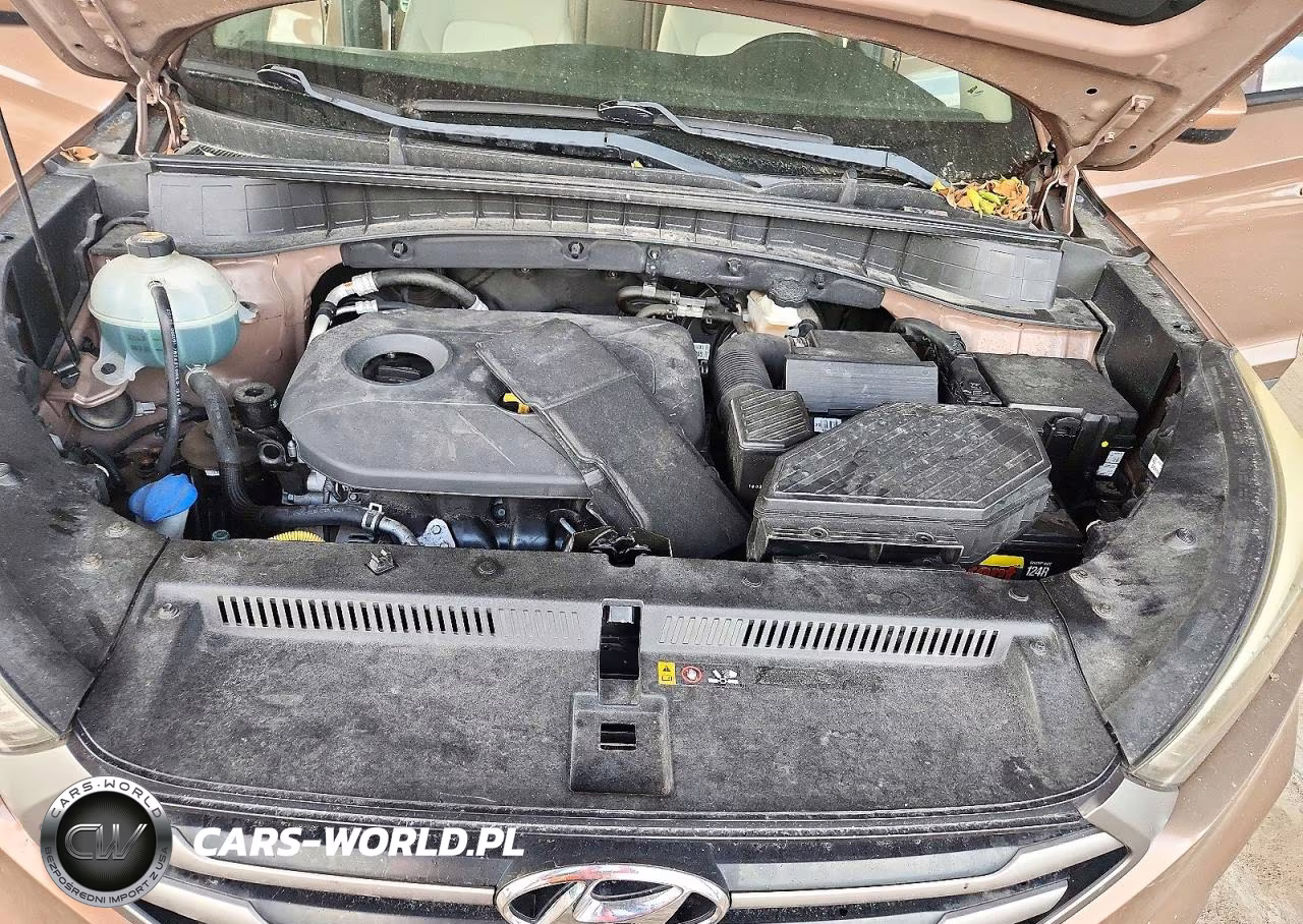 2016 Hyundai Tucson Se VIN:KM8J33A45GU209196 - 12