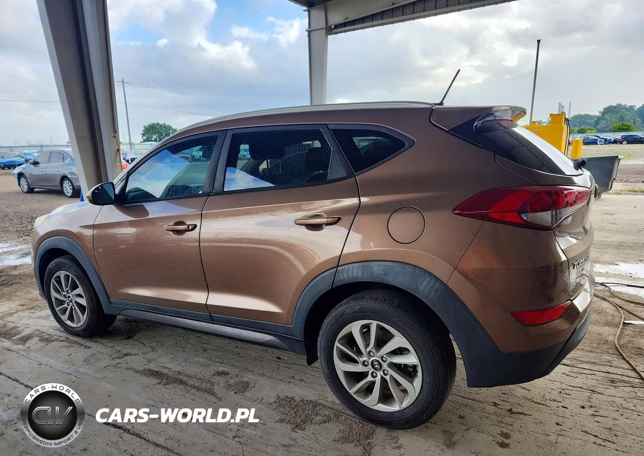 2016 Hyundai Tucson Se VIN:KM8J33A45GU209196 - 2