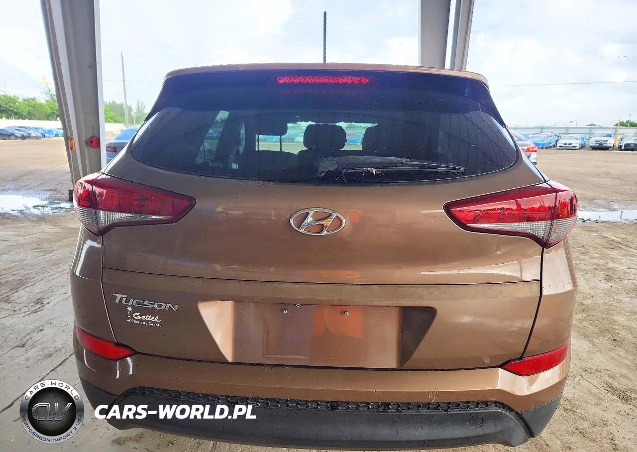 2016 Hyundai Tucson Se VIN:KM8J33A45GU209196 - 6