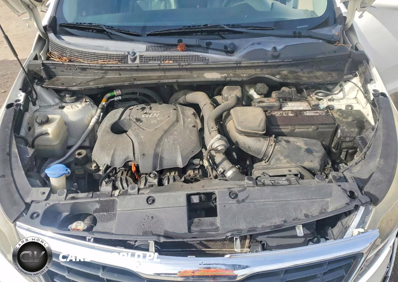 2014 Kia Sportage Sx VIN:KNDPC3A65E7571024 - 12