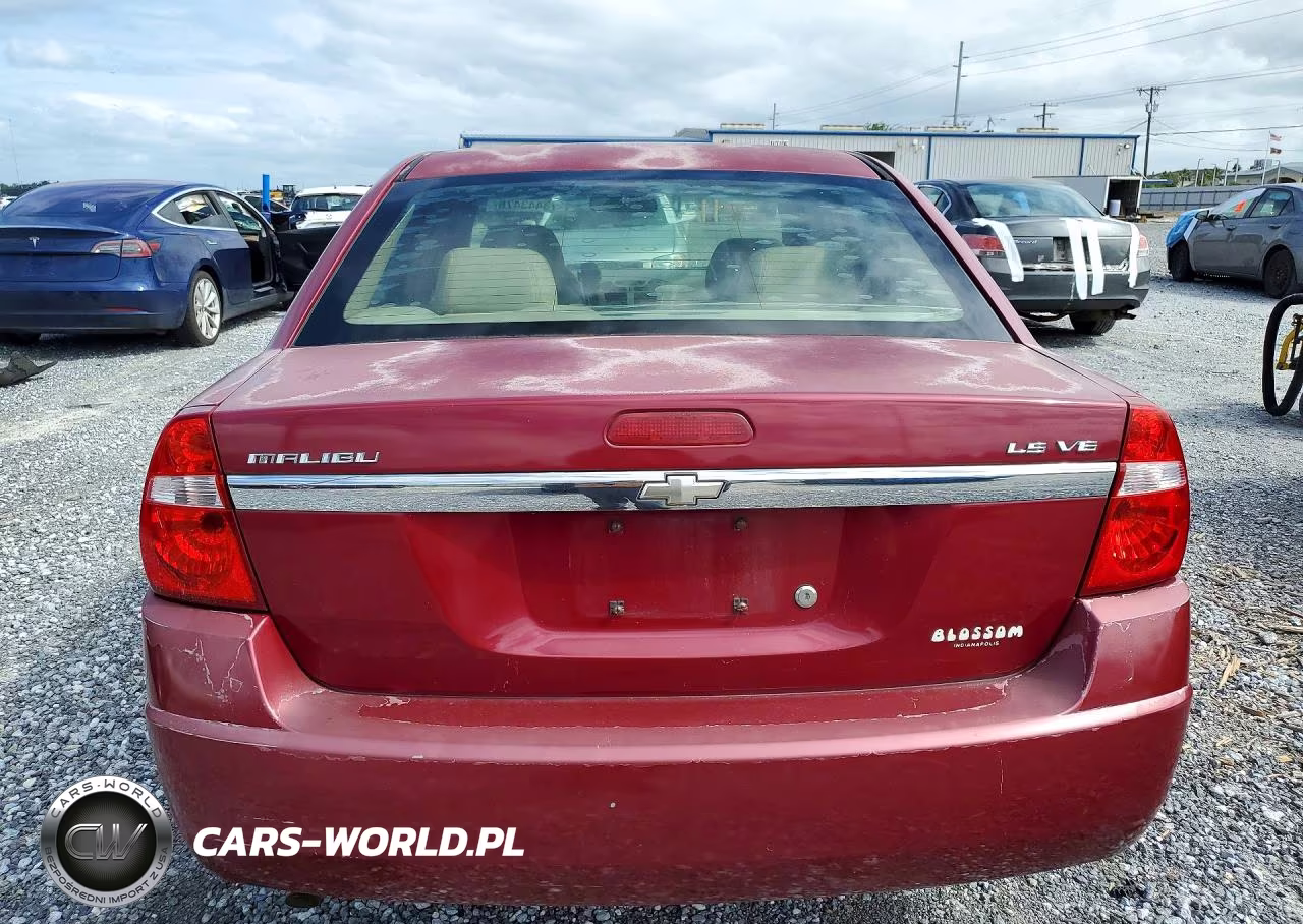 2005 Chevrolet Malibu Ls VIN:1G1ZT52805F320592 - 6