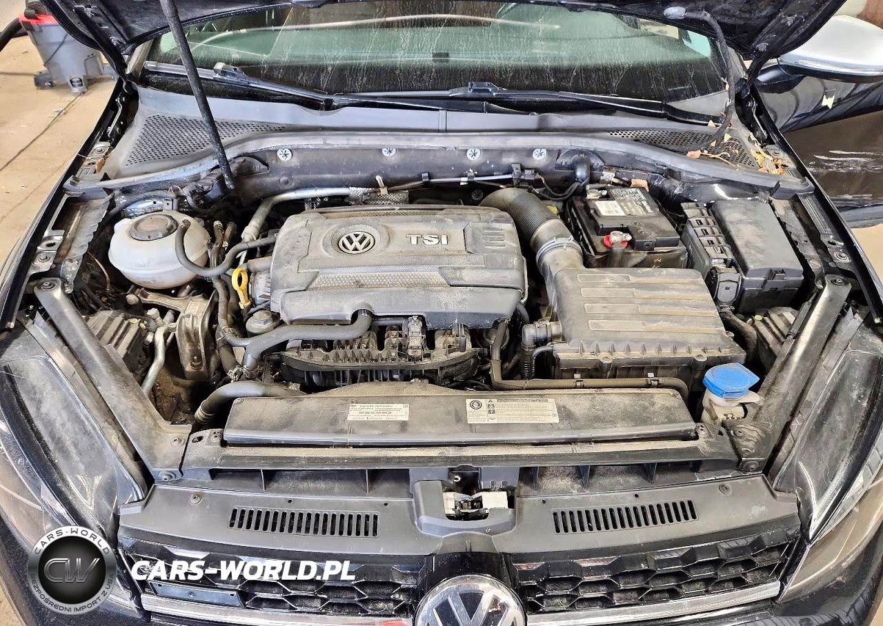 2019 Volkswagen Golf Alltrack S VIN:3VWH17AU7KM512412 - 12