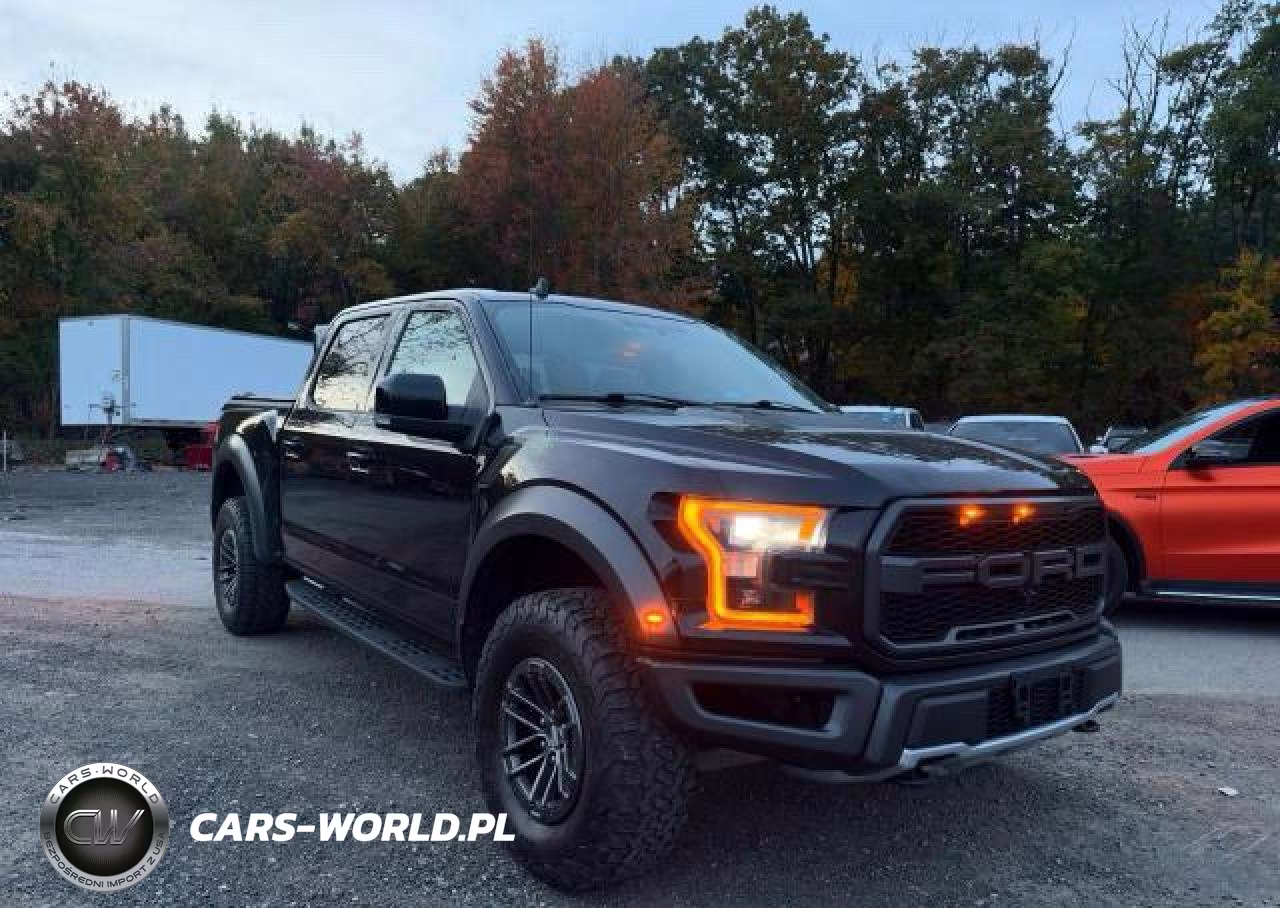 2019 Ford F150 Raptor