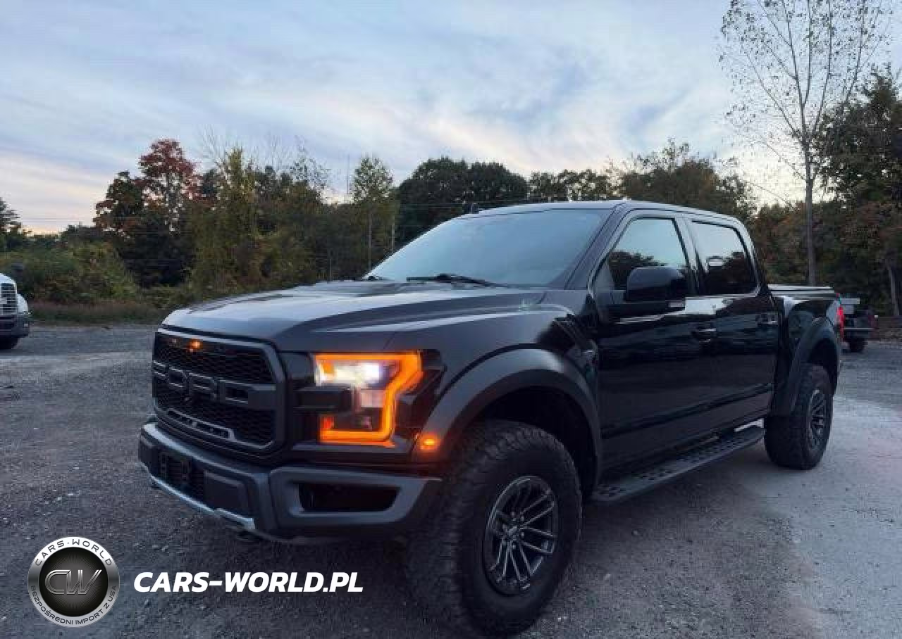 2019 Ford F150 Raptor VIN:1FTFW1RG1KFA03200 - 2