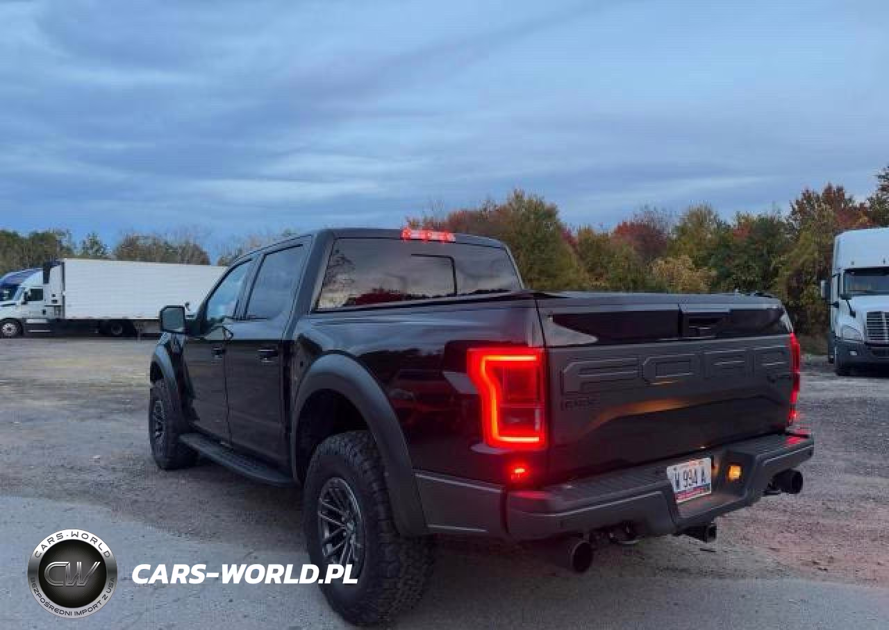 2019 Ford F150 Raptor VIN:1FTFW1RG1KFA03200 - 3