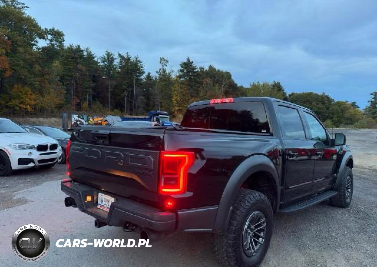 2019 Ford F150 Raptor VIN:1FTFW1RG1KFA03200 - 4