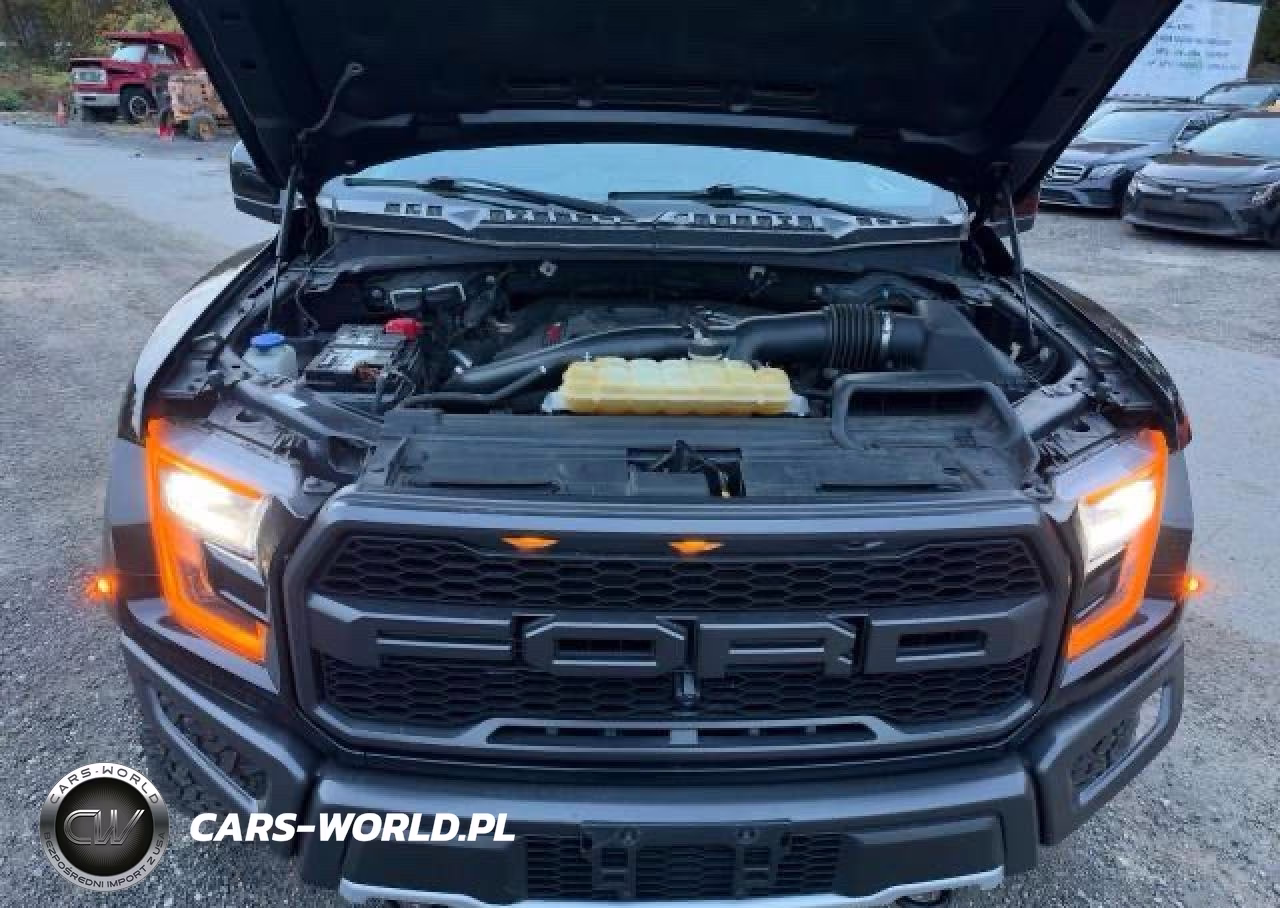 2019 Ford F150 Raptor VIN:1FTFW1RG1KFA03200 - 7