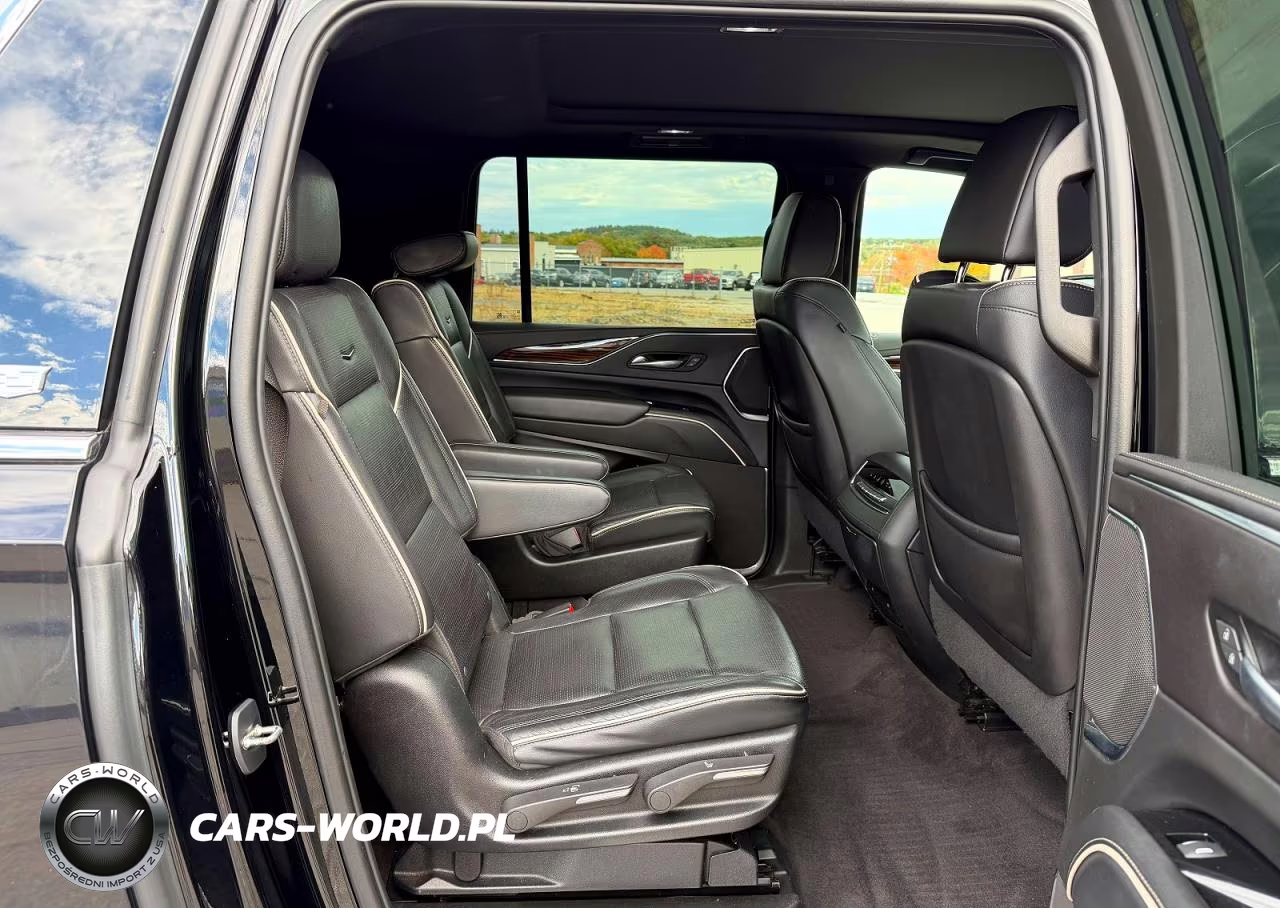 2023 Cadillac Escalade Esv Premium Luxury VIN:1GYS4KKL1PR104366 - 6
