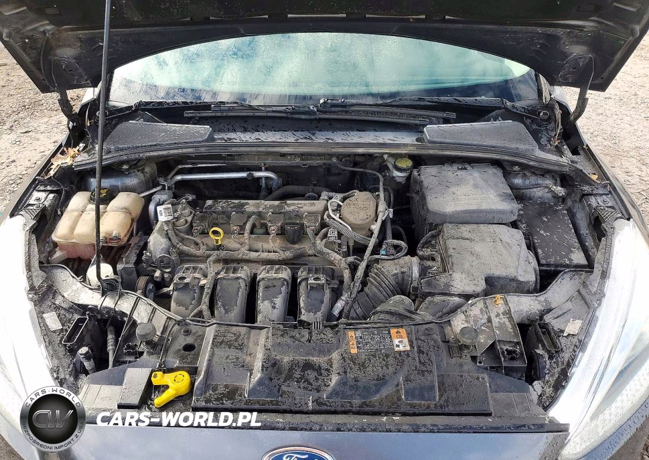 2015 Ford Focus Se VIN:1FADP3K27FL221394 - 11