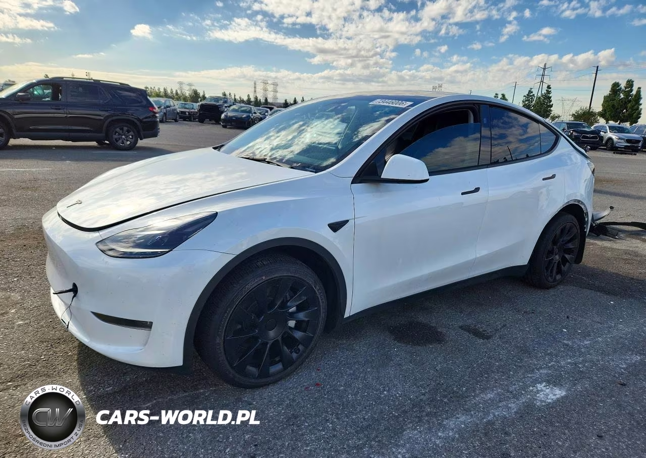 2024 Tesla Model Y VIN:7SAYGDEE2RA259436 - 1